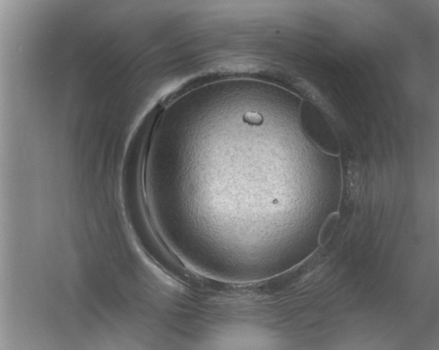 X0000059840726200511041812