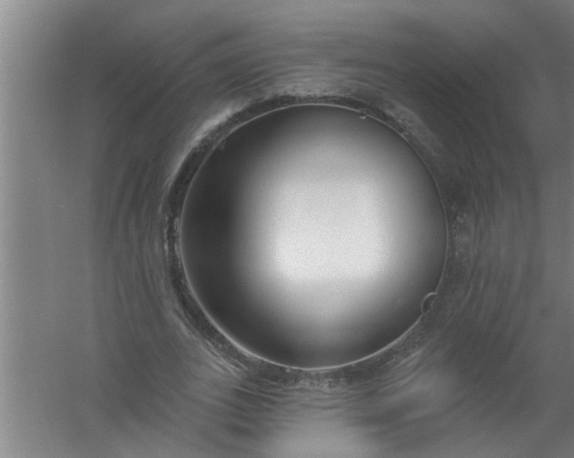 X0000059840727200511041812