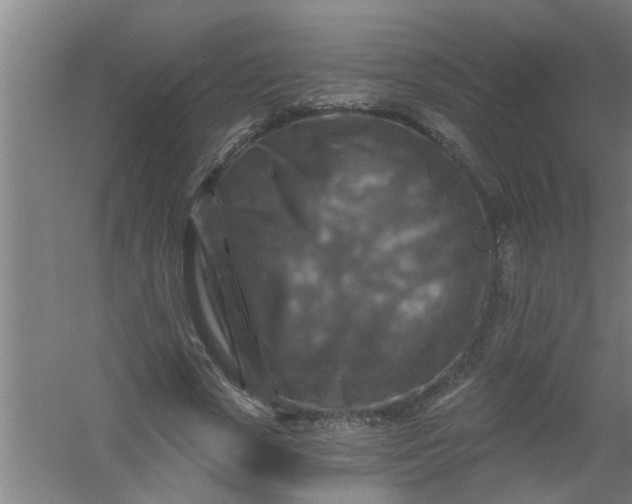 X0000059840729200511041812