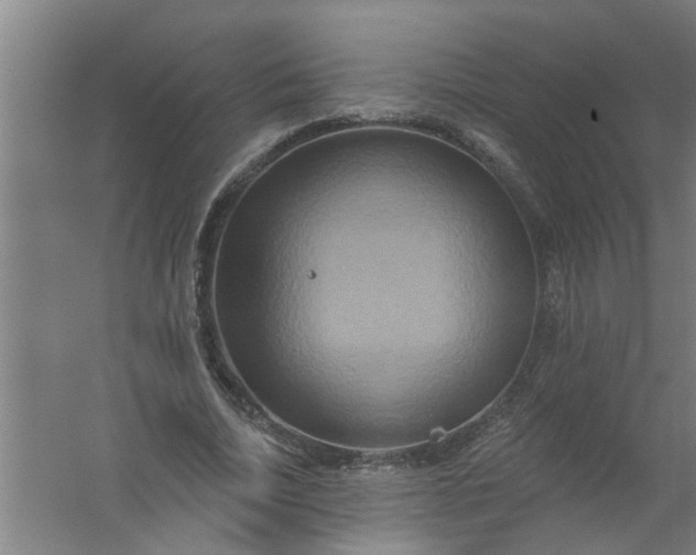 X0000059840730200511041812