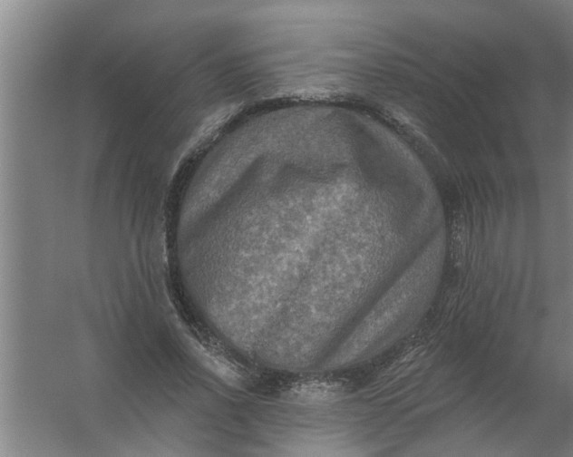 X0000059840734200511041812