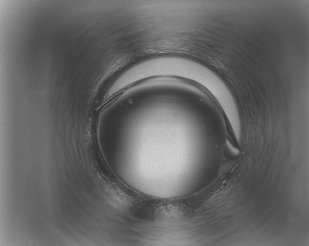 X0000059840735200511041812