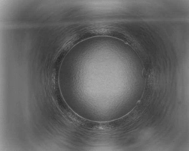 X0000059840739200511041812