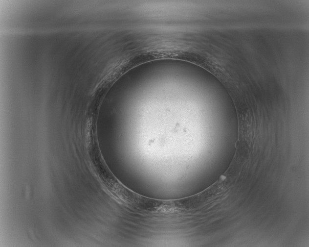 X0000059840742200511041813