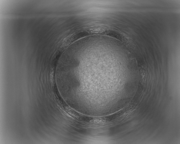 X0000059840745200511041813