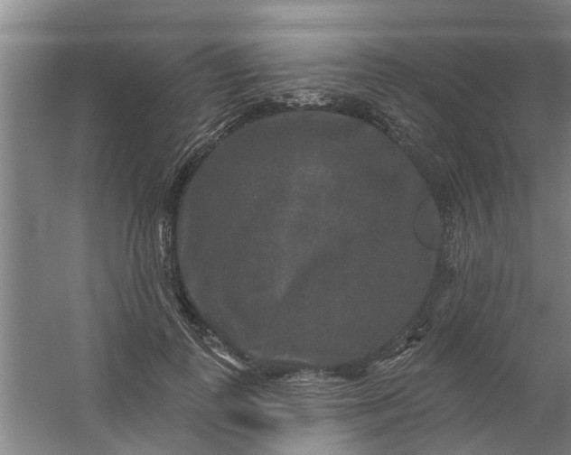 X0000059840747200511041813