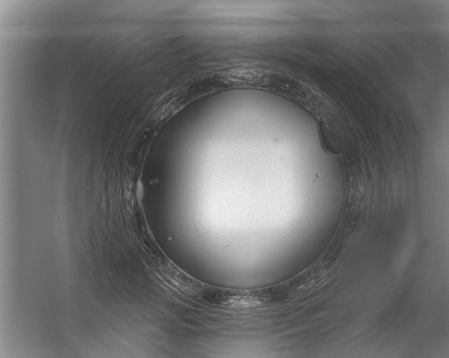 X0000059840749200511041813