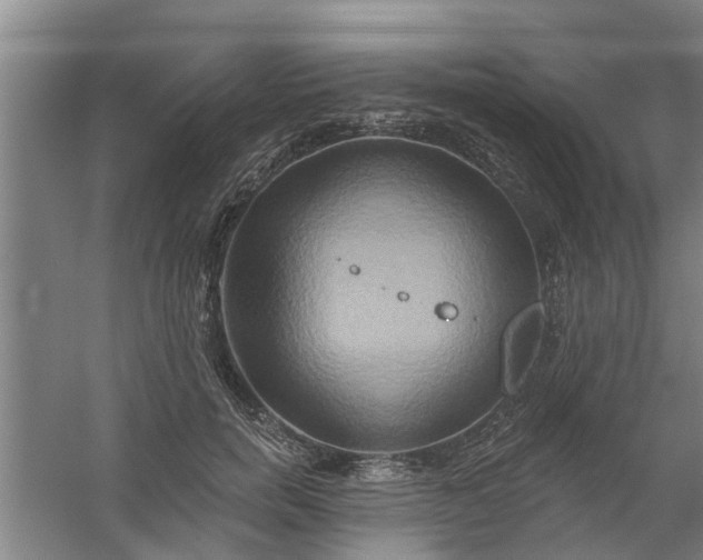 X0000059840750200511041813