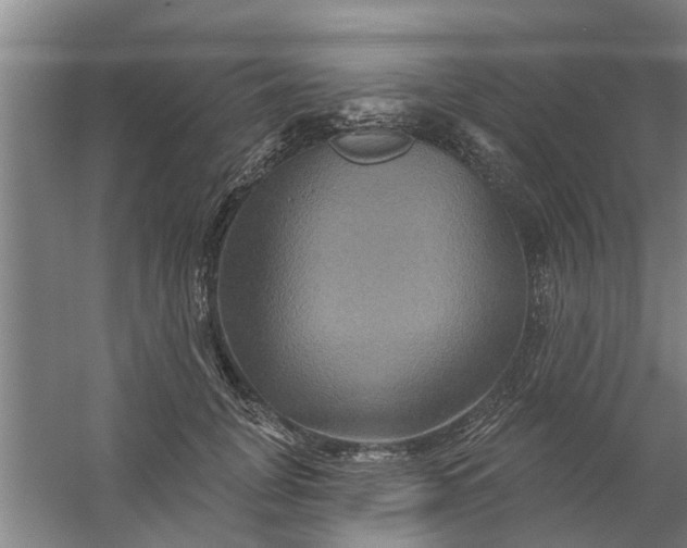 X0000059840751200511041813