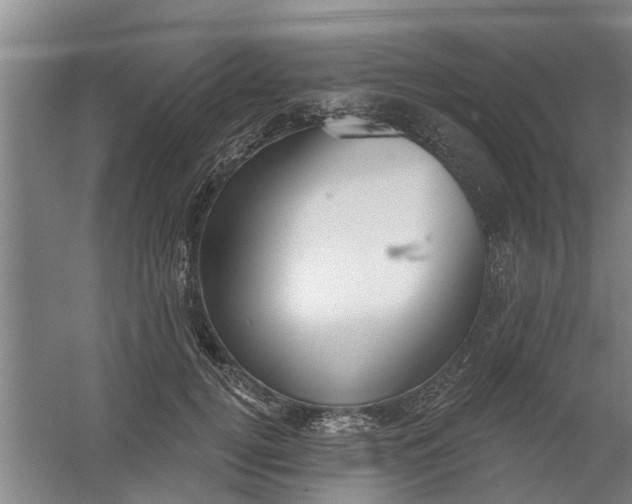 X0000059840752200511041813