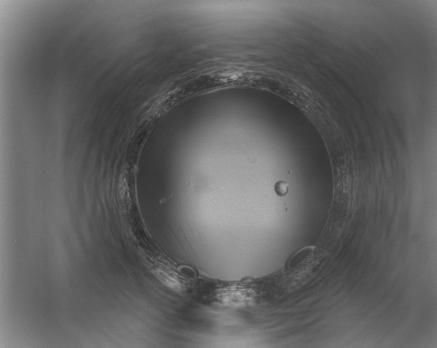 X0000059840754200511041813