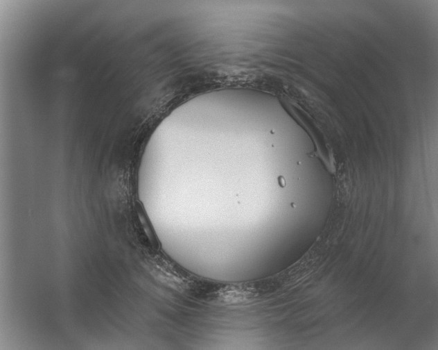 X0000059840756200511041813