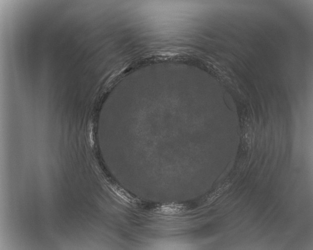 X0000059840758200511041813