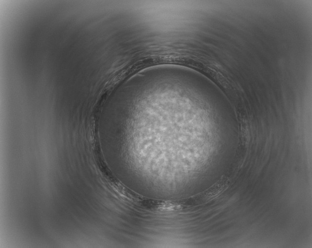 X0000059840760200511041813