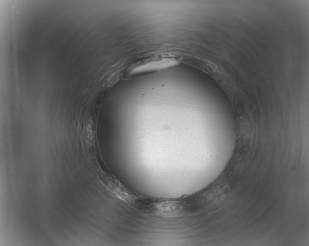 X0000059840761200511041813