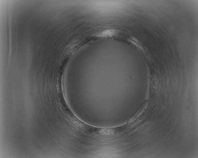 X0000059840762200511041813