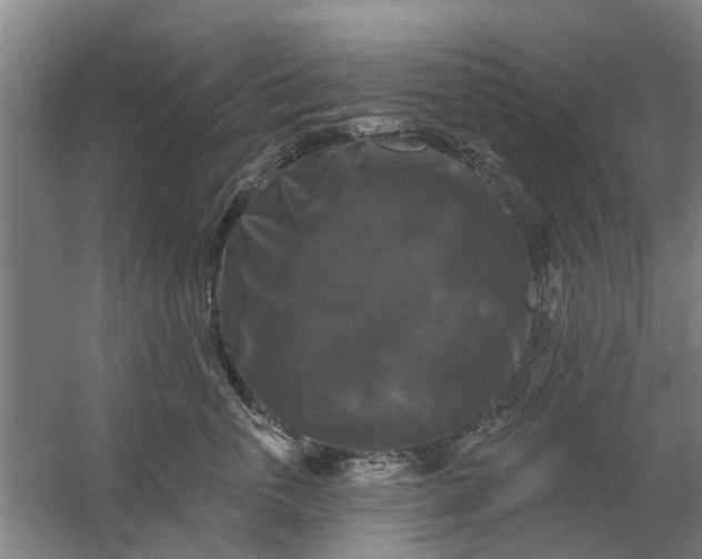 X0000059840763200511041813