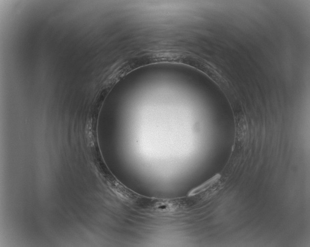 X0000059840764200511041813