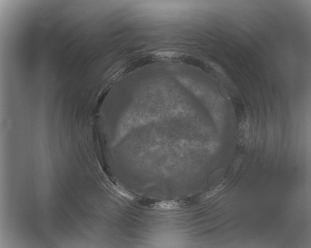 X0000059840765200511041813