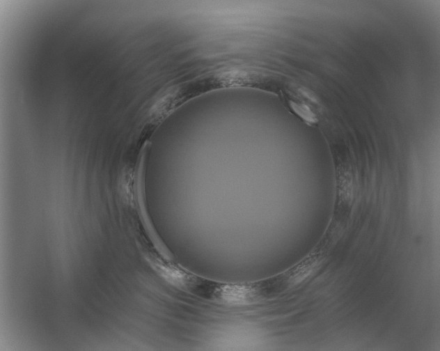 X0000059840766200511041813