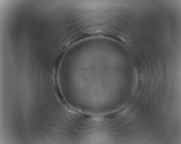 X0000059840767200511041813