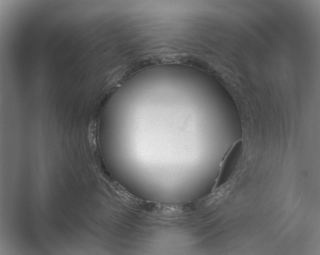 X0000059840768200511041813