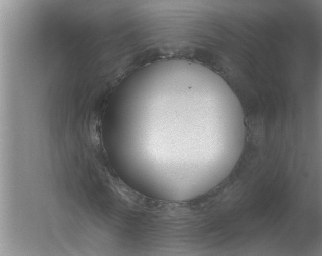 X0000059840770200511041812