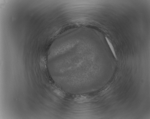 X0000059840772200511041812