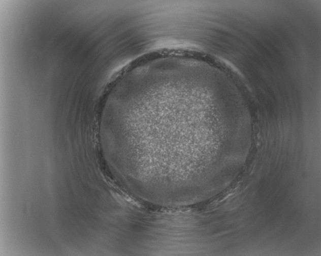 X0000059840775200511041812