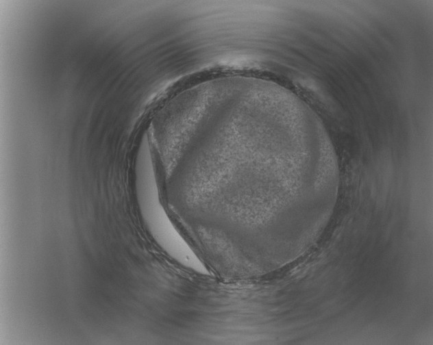 X0000059840776200511041812