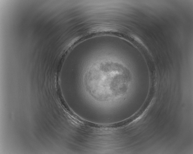 X0000059840777200511041812