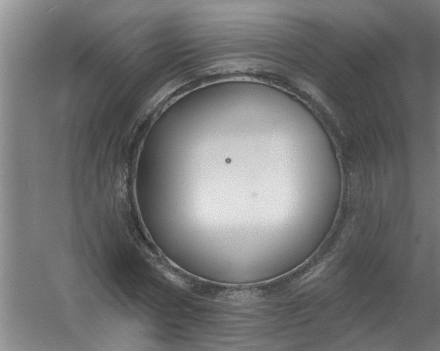 X0000059840778200511041812