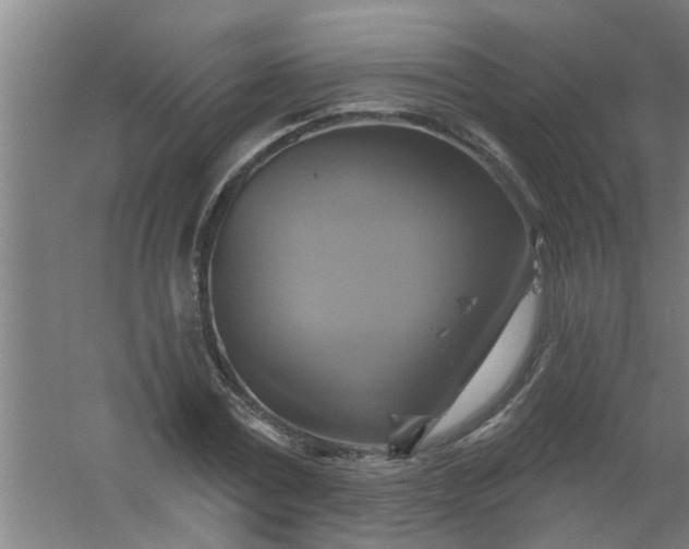 X0000059840779200511041812