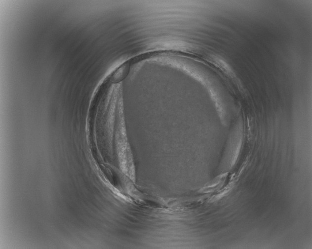 X0000059840780200511041812