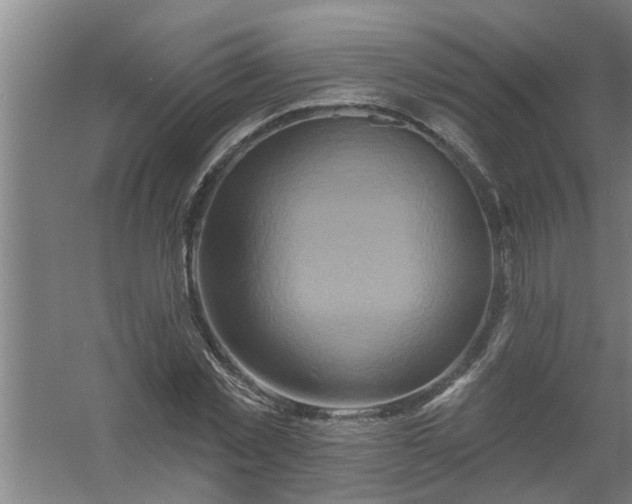 X0000059840781200511041812