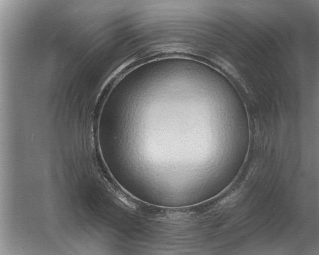 X0000059840782200511041812