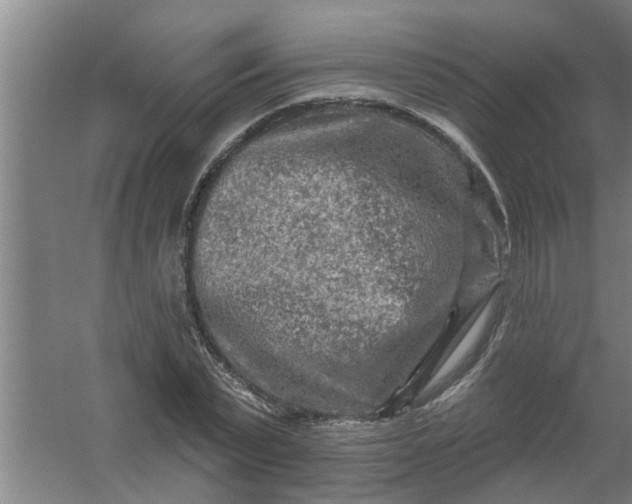 X0000059840783200511041812