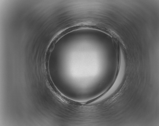 X0000059840784200511041812