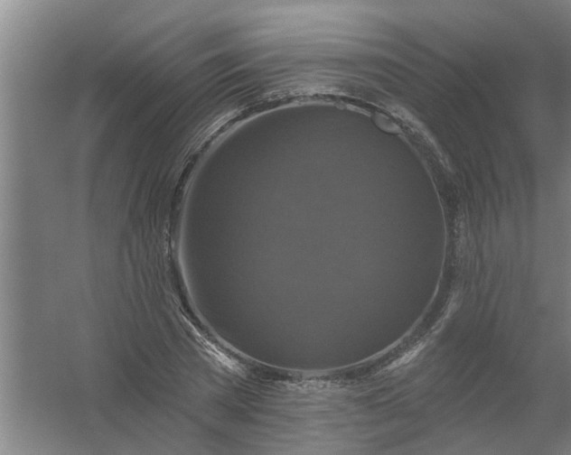 X0000059840785200511041812