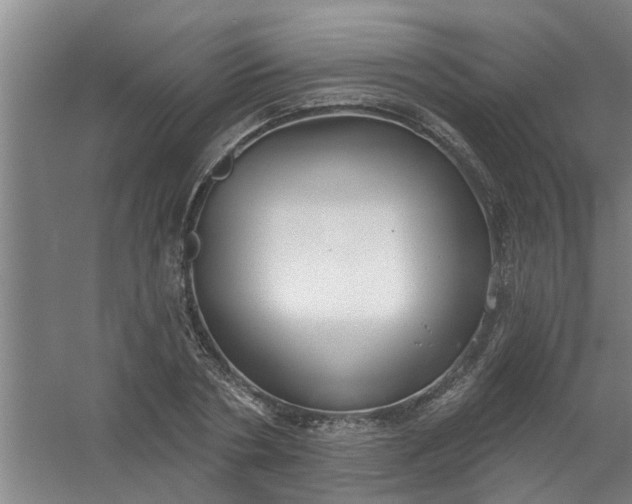 X0000059840786200511041812