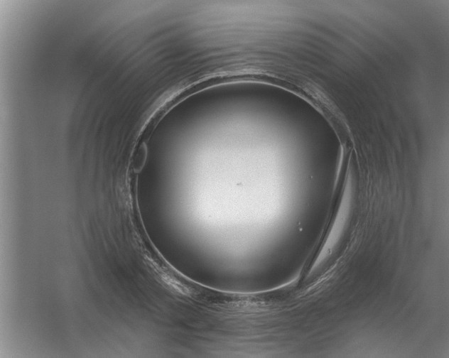 X0000059840789200511041812