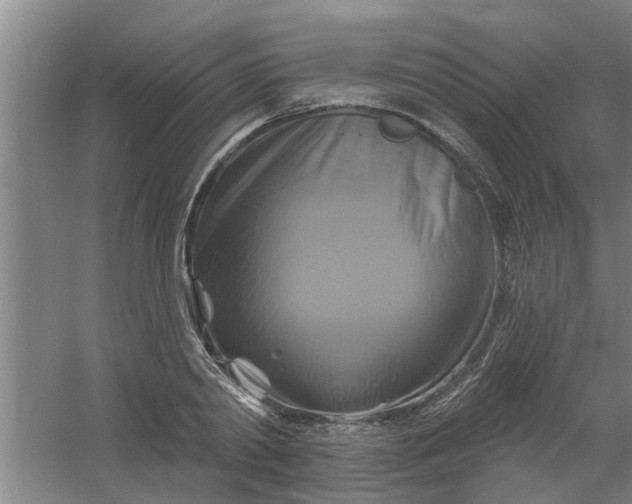 X0000059840790200511041812