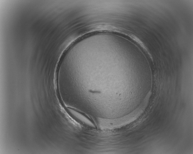 X0000059840791200511041812