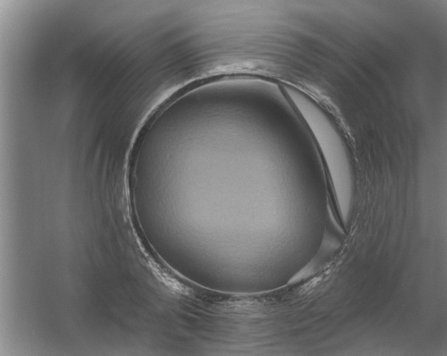 X0000059840792200511041812