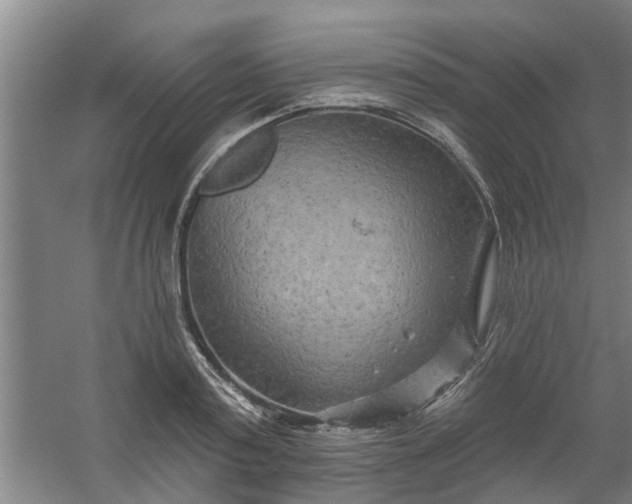 X0000059840795200511041812