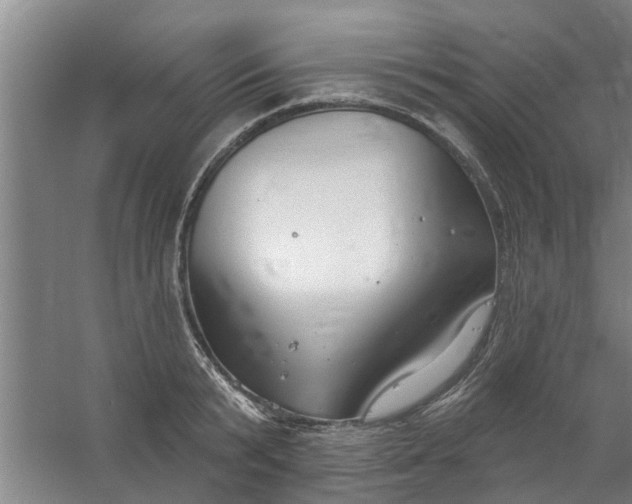 X0000059840799200511041812