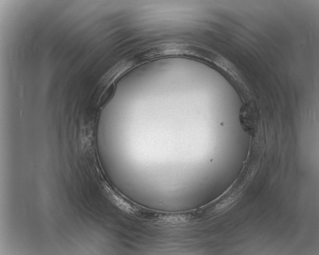 X0000059840801200511041812