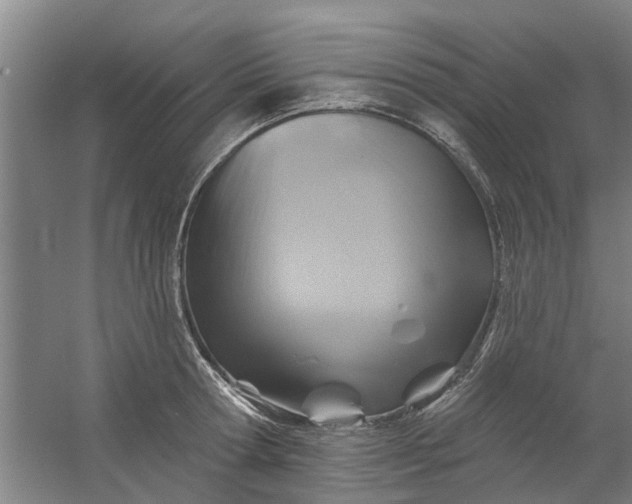 X0000059840802200511041812