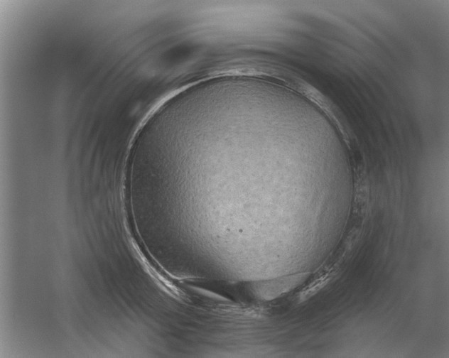 X0000059840803200511041812