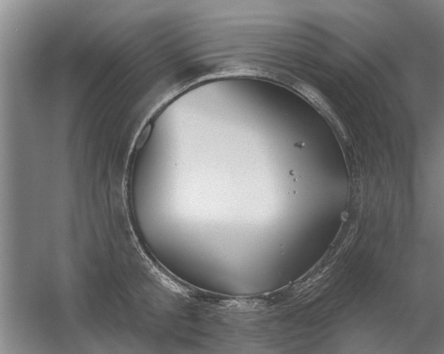 X0000059840805200511041812